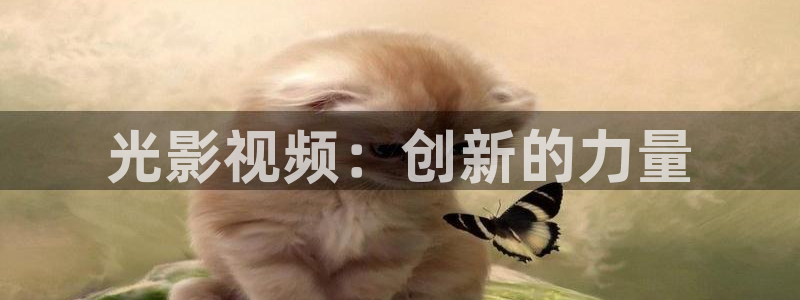 狂飙免费观看全集策驰影院